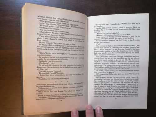 The Shadow of the Lynx