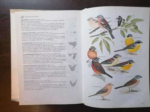 Sasol Birds of Southern Africa