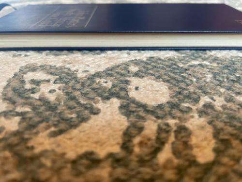 John Platter Wine Guide 1986