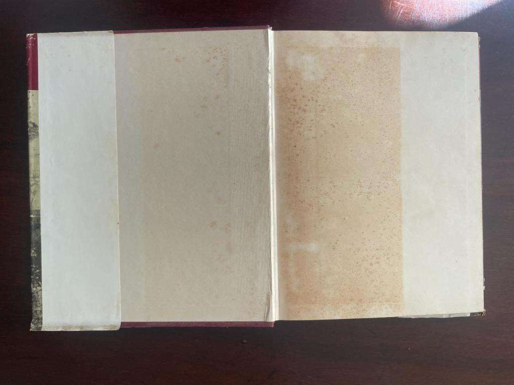 MET DIE MATIES OP DIE RUGBYVELD 1880-1955