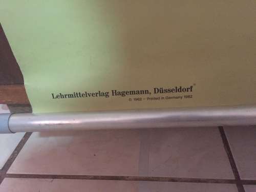 Rare Lehrmittelverlag Hagemann Anatomy Poster