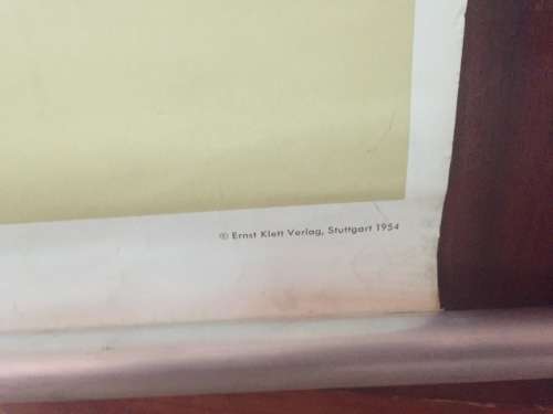 Rare Ernst Klett Verlag Anatomy poster