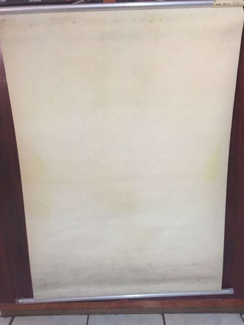 Rare Ernst Klett Verlag Anatomy poster