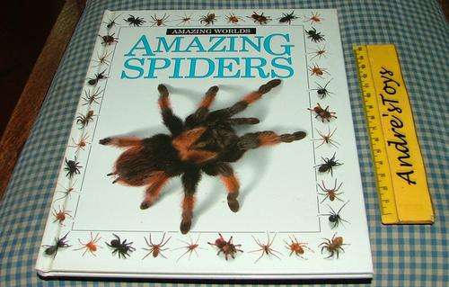 Amazing Worlds ~ Amzing spiders