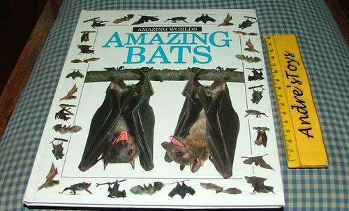 Amazing Worlds ~ Amzing Bats