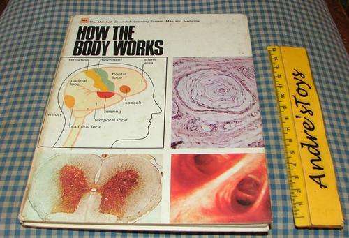 How The Body Works