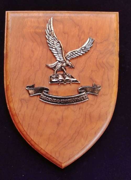 ## SAAF College Plaque ##