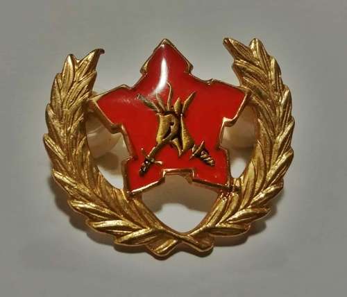 ## Army Citizen Force Commando's Volunteers 5 Year Service Badge ##