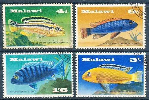 MALAWI  1967 -   Fish - Lake Malawi Cichlids  -   FULL SET   -  FINE USED