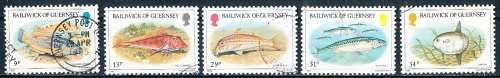 GUERNSEY   - 1985    Fish   SET  -    FINE USED