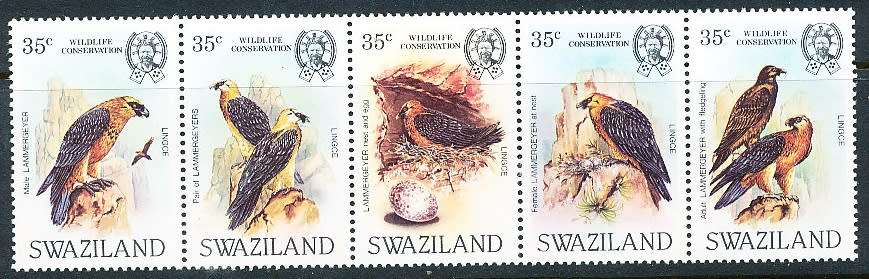 SWAZILAND   1983   - Wildlife  - Bearded Vulture  -  FINE  MINT  STRIP of 5