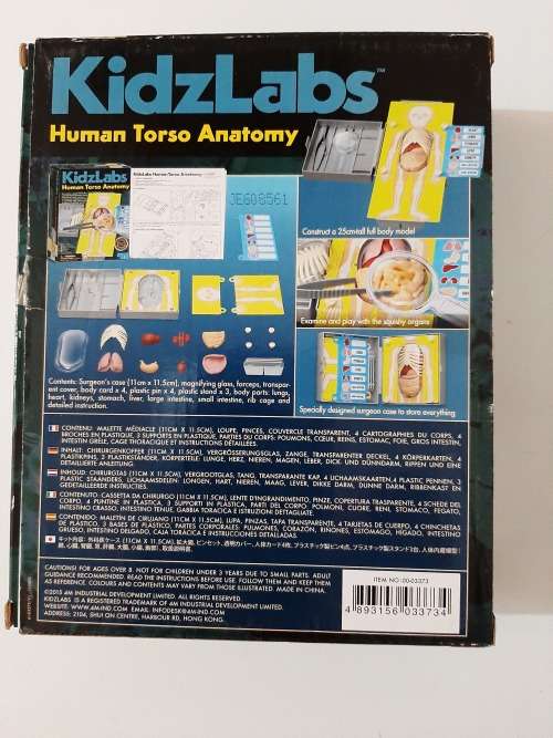 4M Kidz Labs Human Torso Anatomy