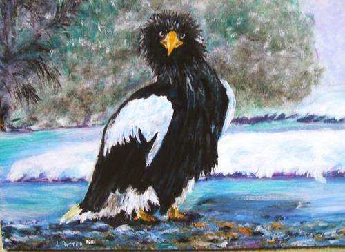 CRAZY R1 START!!, ORIGINAL ACRYLIC ON BOX CANVAS, KAMCHATKIS EAGLE  (RUSSIA)  BY LAURA RITTER