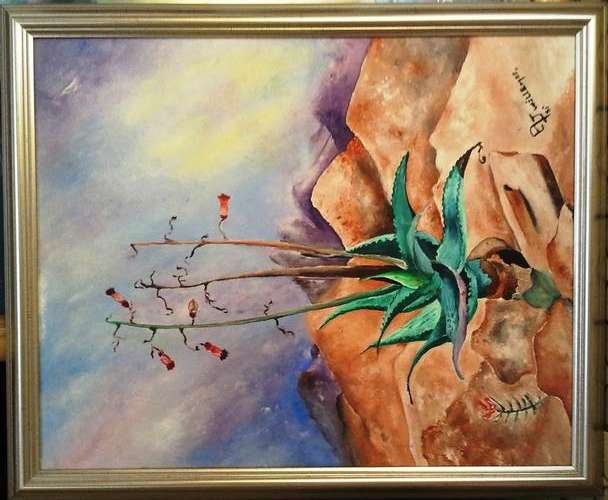 FRAMED ORIGINAL OIL ON CANVAS BOARD (ALOE) SIGNED BY ARTIST A J WILLEMSE 1981