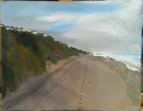 MIKE TALJAARD ORIGINAL OIL PAINTING ON BOARD CANVAS (WILDERNES BEACH 1)