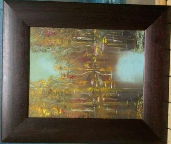 MIKE TALJAARD ORIGINAL OIL PAINTING ON BOARD CANVAS (ORANGE RIVER REFLECTION)