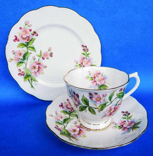 Royal Albert  " Evesham "  Trio - Made In England