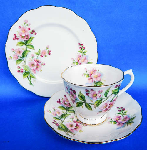 Royal Albert  " Evesham "  Trio - Made In England