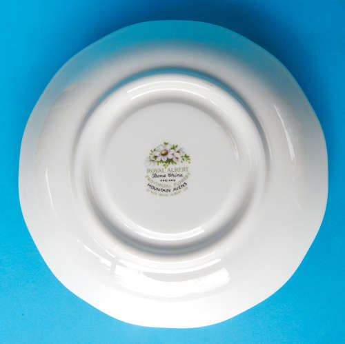 Royal Albert Provincial Flowers Series Duo - Mountain Avens - Made In England