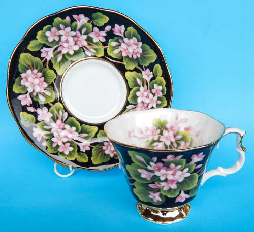 Royal Albert Provincial Flowers Series Duo - Mayflower - Made In England