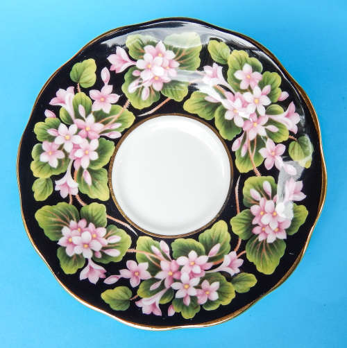 Royal Albert Provincial Flowers Series Duo - Mayflower - Made In England