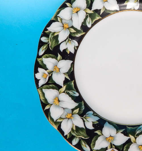 Royal Albert Provincial Flowers Series Collector's Plate 21 cm - Trillium - Made In England