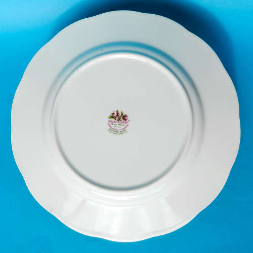 Royal Albert Provincial Flowers Series Collector's Plate 21 cm - Pitcher Plant - Made In England