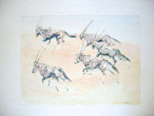 Zakkie Eloff - Gemsbokke