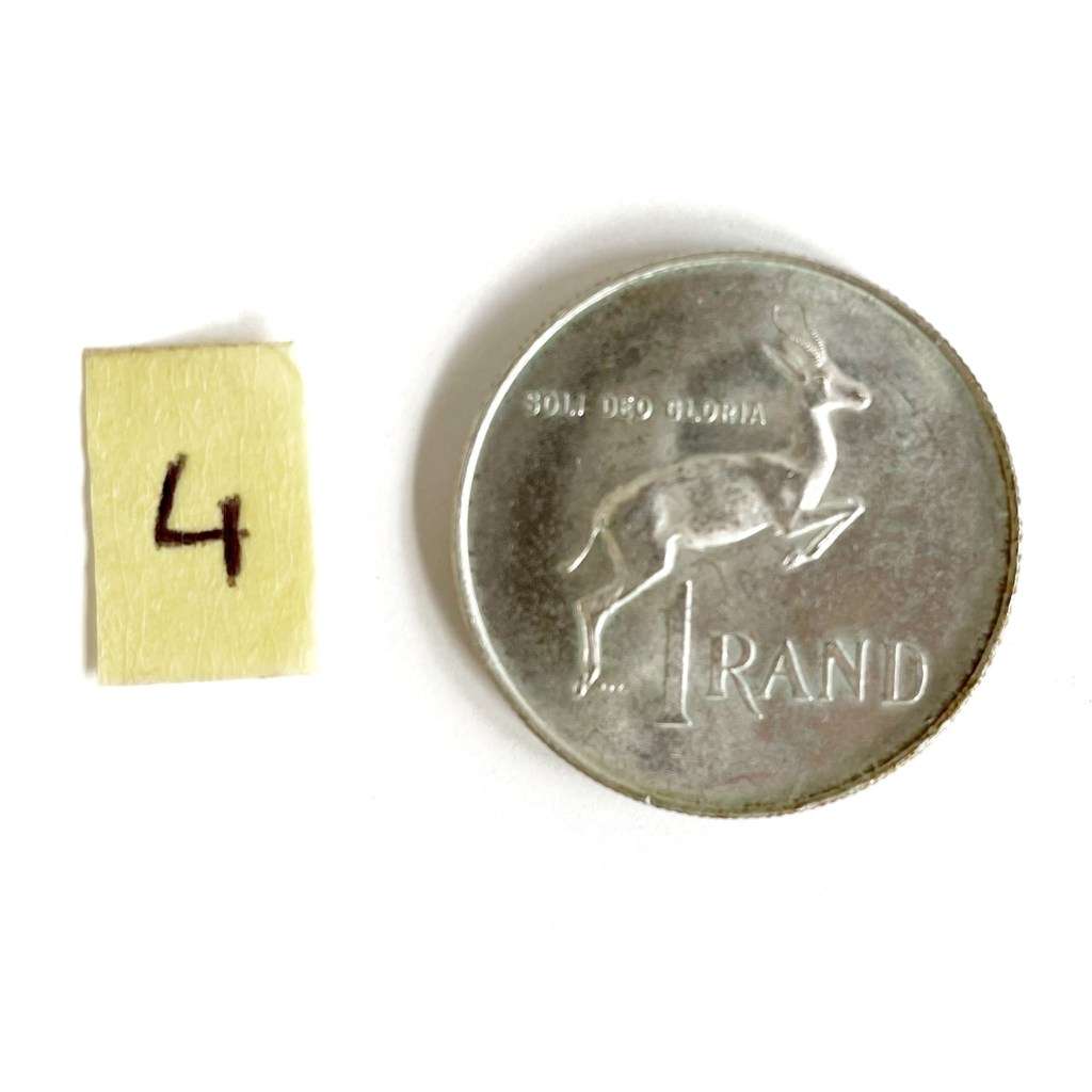 1966 silver 1 Rand coin #4