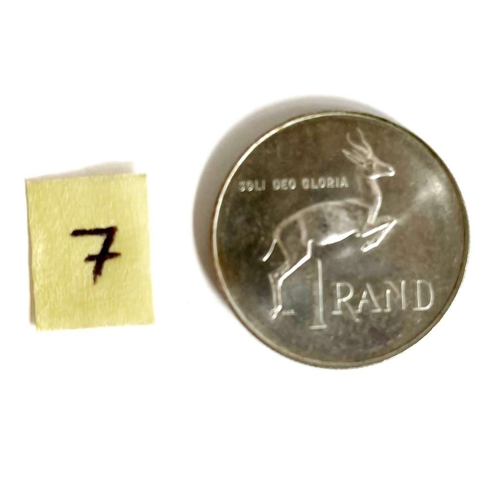 1966 silver 1 Rand coin #7