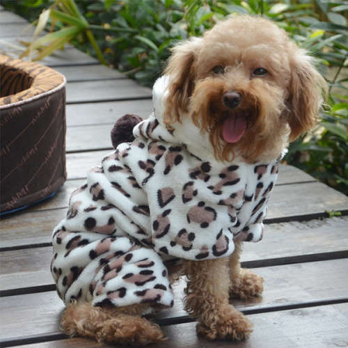 *** WINTER DOGGY OUTFIT - HOODY SUPER SOFT  XXL***