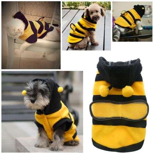 *** LITTLE BUZZING BEE OUTFIT FOR YOUR SPECIAL FURBABY  -  SIZE SMALL  ***