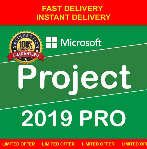 Microsoft Projects 2019 Pro | Project 2019 | Microsoft | Project | 2019 | Professional | Pro | MS