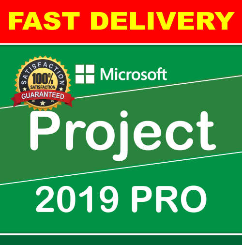 Microsoft Projects 2019 Pro | Project 2019 | Microsoft | Project | 2019 | Professional | Pro | MS