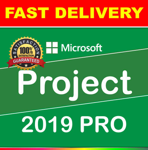 Microsoft Projects 2019 Pro | Project 2019 | Microsoft | Project | 2019 | Professional | Pro | MS