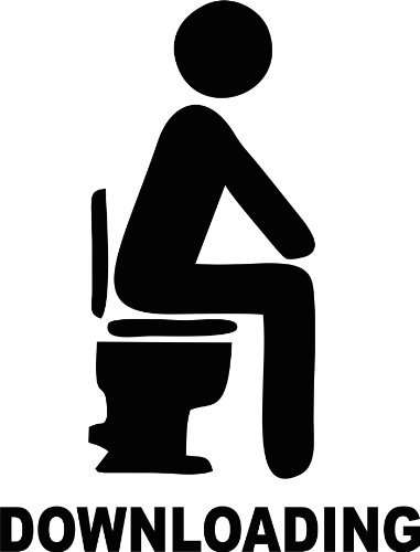 Vinyl sticker funny toilet sign