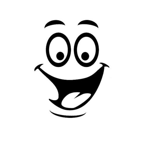 Vinyl sticker funny face