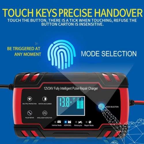 Battery Repair Charger 12V/24V