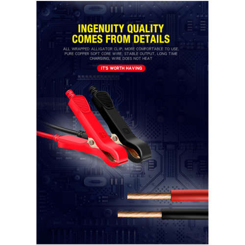 12V 24V 12A Smart Automatic Battery Charger for GEL WET AGM Lithium Iron LiFePO4 LiPo