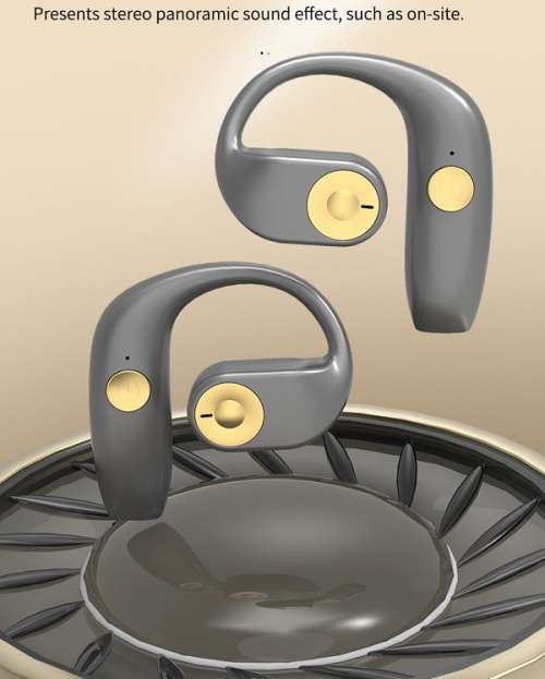 True Wireless Earhook Bluetooth 5.2 Sports Headphones