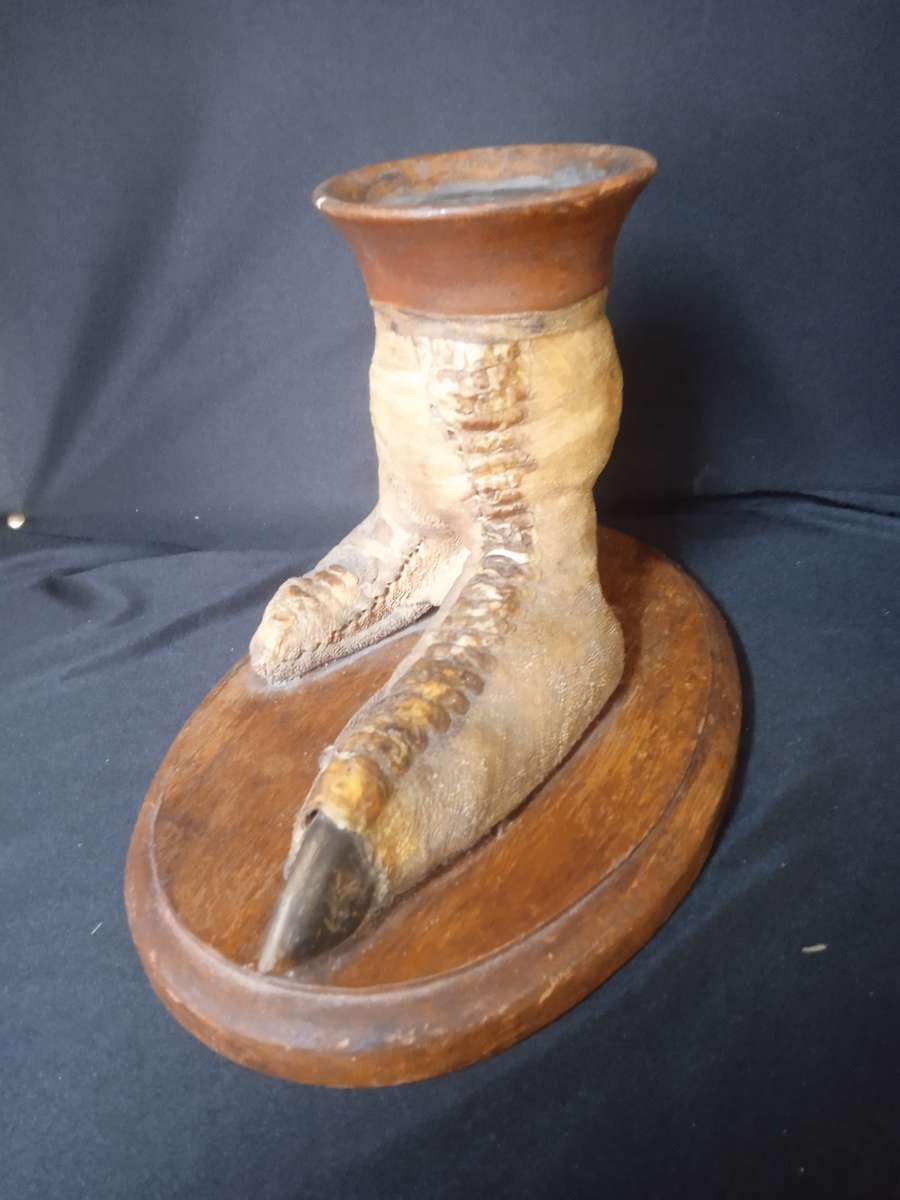 Authentic  Ostrich foot on wooden stand