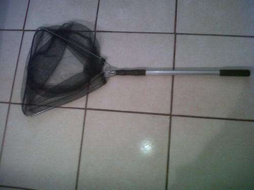 Telescopic Foldable Landing net for Fish