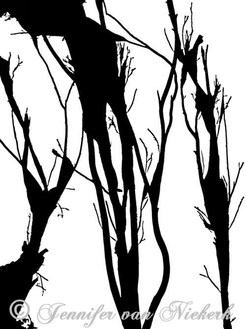 Abstract Eucalyptus  [d]