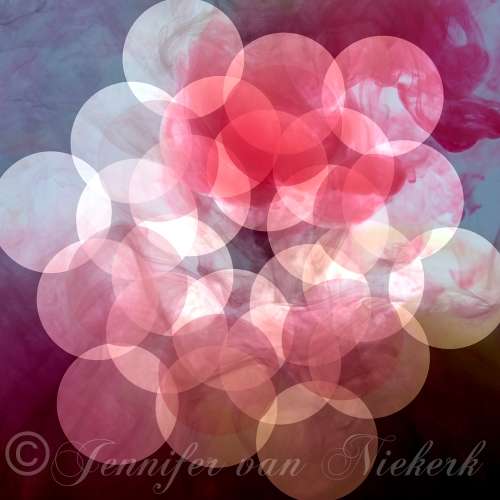 Rose Hexagon Pink  [d]