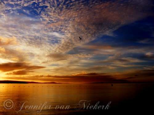 A Sunset Display in April  [d]