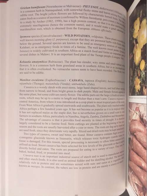 People`s Plants A Guide to the Useful Plants of Southern Africa by Ben Erik van Wyk & Nigel Gericke