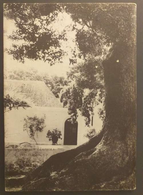 Characteristics and Uses of Trees and Shrubs obtainable from the Forest Department by RJ Poynton