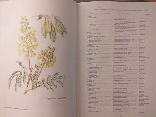 Characteristics and Uses of Trees and Shrubs obtainable from the Forest Department by RJ Poynton