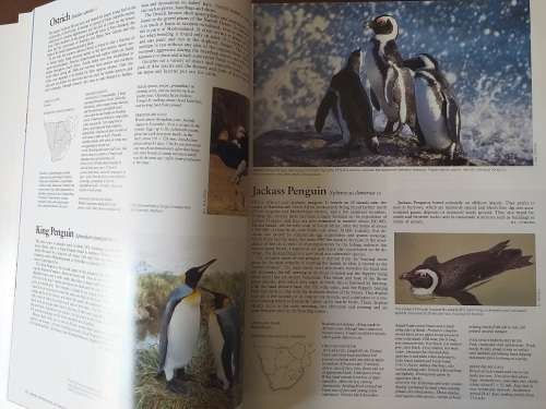The Complete Book of Southern African Birds (PJ Ginn, WG McIlleron, P Le S Milstein)