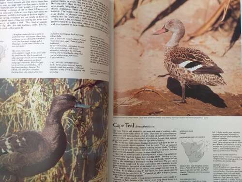 The Complete Book of Southern African Birds (PJ Ginn, WG McIlleron, P Le S Milstein)